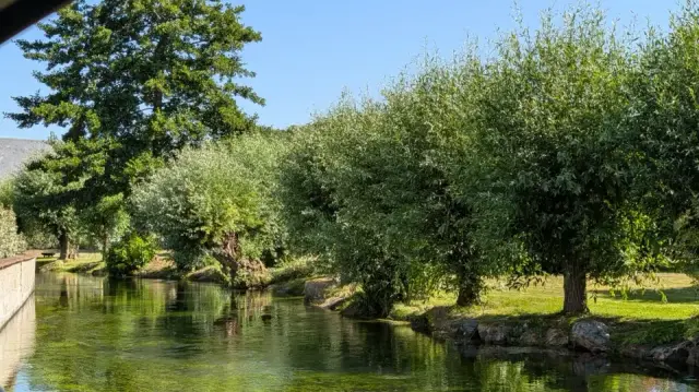La Lévrière bordée de saules et ses eaux claires, le long du chemin de la chapelle