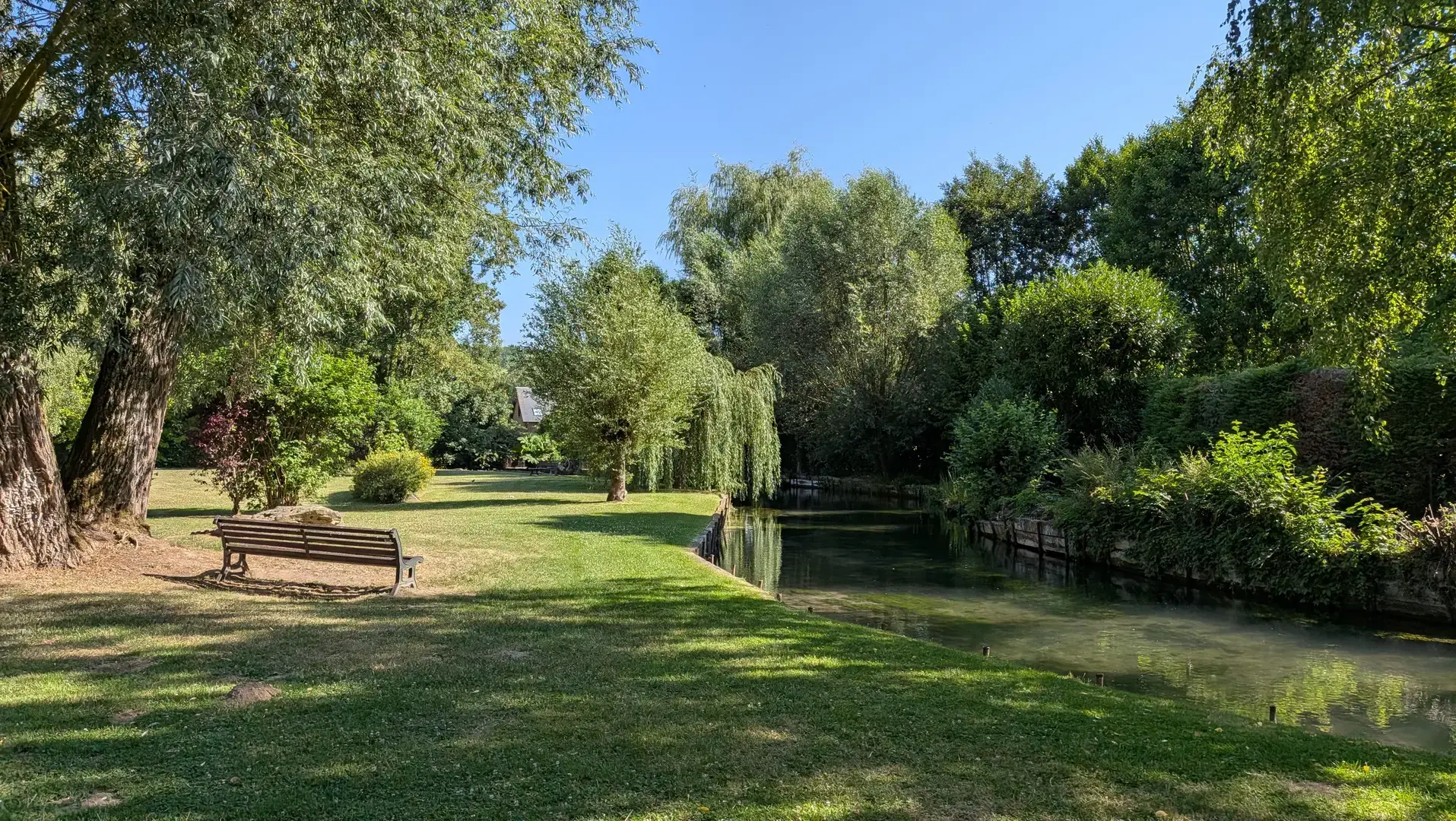 Un banc à l'ombre d'un saule, au bord de l'eau