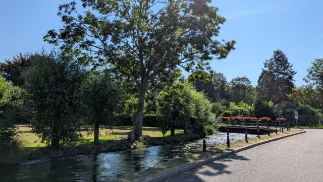 La rivière bordée d'arbres, près du pont fleuri