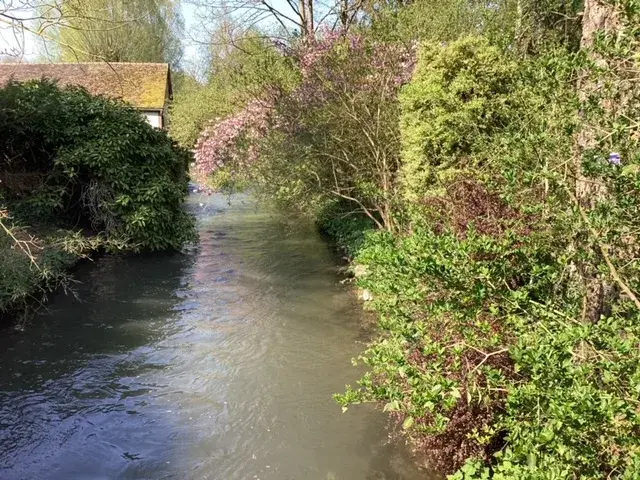 La rivière du village bordée d'arbres en fleurs et d'une maison ancienne, au printemps
